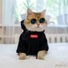 supreme.cat