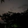 daninanimani