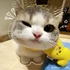 yssha00