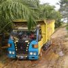 wanda4094