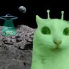 covka_lox666