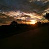 rayibdped02