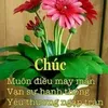phuocan346