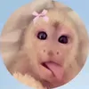 leanneofc