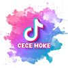cemok20420