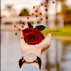 user76991310130434