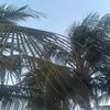 mohamed.ibrahim3121