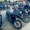 lupii_1101