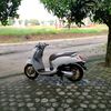scoopy.keong60