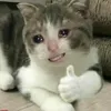 _nointerestinlove