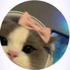 jenniferpongo27