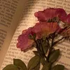 невидимый читатель 📚