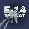 f_14_tom_cat