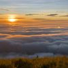ray81_com