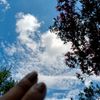 missquine09