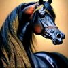 hodamohamed564