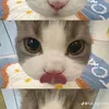 sariolovetiktok1