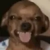 nojaniewiem