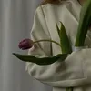 tuli_p17