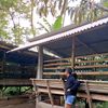 dregadungan