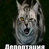 karentix7