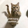 zxdfgtswz