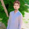tabasum.ali699