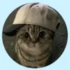 _bord_21