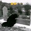 anayat.urahman88