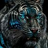 user8131258677839
