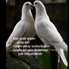 biryeminetdim._.1