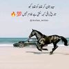 m.imran.khalid6