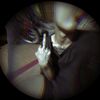 vv.thuya.ko