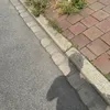 sulimxaxc