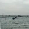 seb_1312_lbk