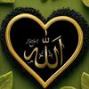 amal.mohamed6503