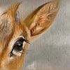 riyof.8