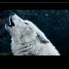 .wolfs.rain