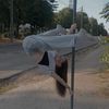 soulpole.y