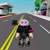 sheinlowet.v.b