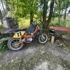 libko16