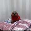 estefany_0805