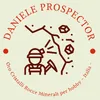 danieleprospector