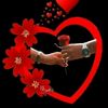 user3020981566381