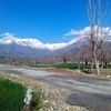 jameel6684537051356jamee