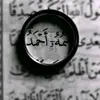 نور القرآن