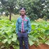 user8381934870678