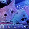 meow_meow_meow83