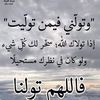 molay.amine7