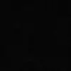 daveed5587